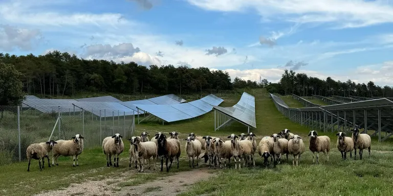Portes obertes a un parc solar i tres programes de ràdio de sensibilització per commemorar la Setmana Europea de l'Energia Sostenible al Solsonès