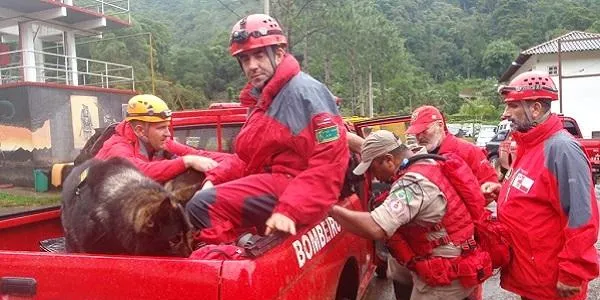 L’ONG K-9 participa en el rescat de 300 persones desaparegudes al Brasil a causa del trencament d'una presa minera