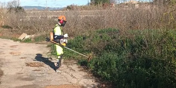 S'impulsa una nova edició dels Plans d'Ocupació Comarcals com a eina de foment de l'ocupació