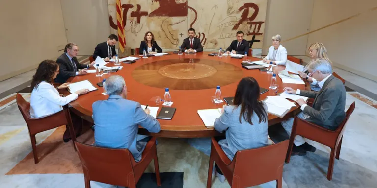 Plaja assegura que el Govern és "l'últim espai" on repercuteixen les "discrepàncies evidents" entre ERC i Junts