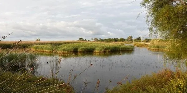 El camí Cal Bofill - Baix a Mar - Els Muntanyans torna a rebre el segell de Sender Blau