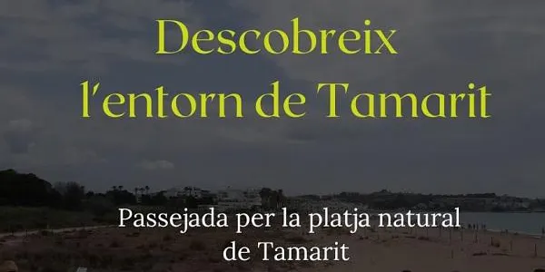 Nova visita guiada a la desembocadura del riu Gaià i l’Hort de la Sínia aquest diumenge