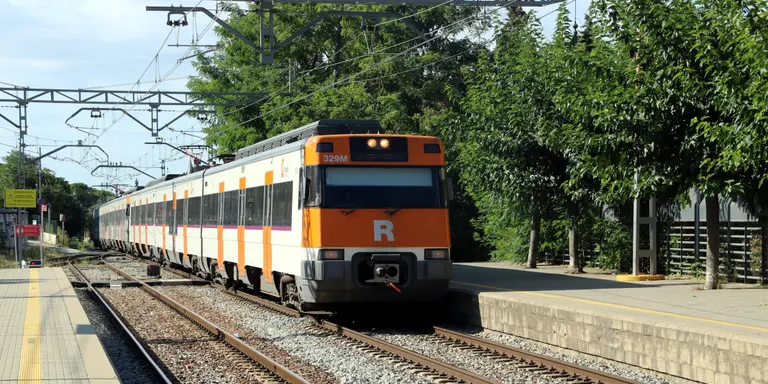 Interrompuda la circulació de la línia R3 de Rodalies entre Sant Quirze de Besora i Ripoll per la caiguda d'un arbre