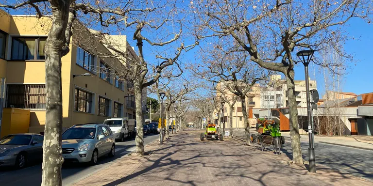 El Morell enllestirà la poda dels arbres de la Rambla