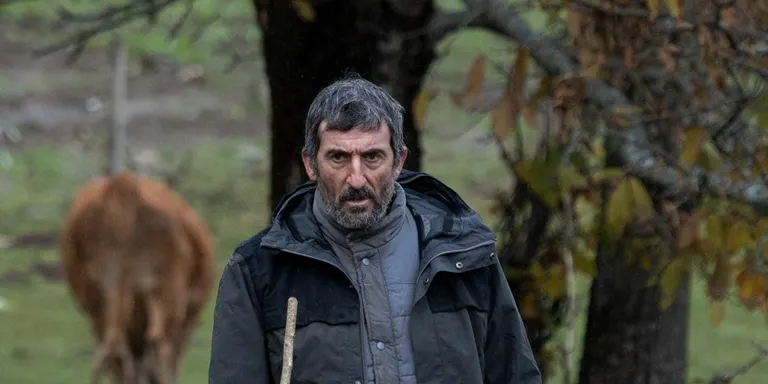 'As bestas' lidera les nominacions als Premis Goya, seguida de 'Modelo 77', 'Cinco lobitos' i 'Alcarràs'