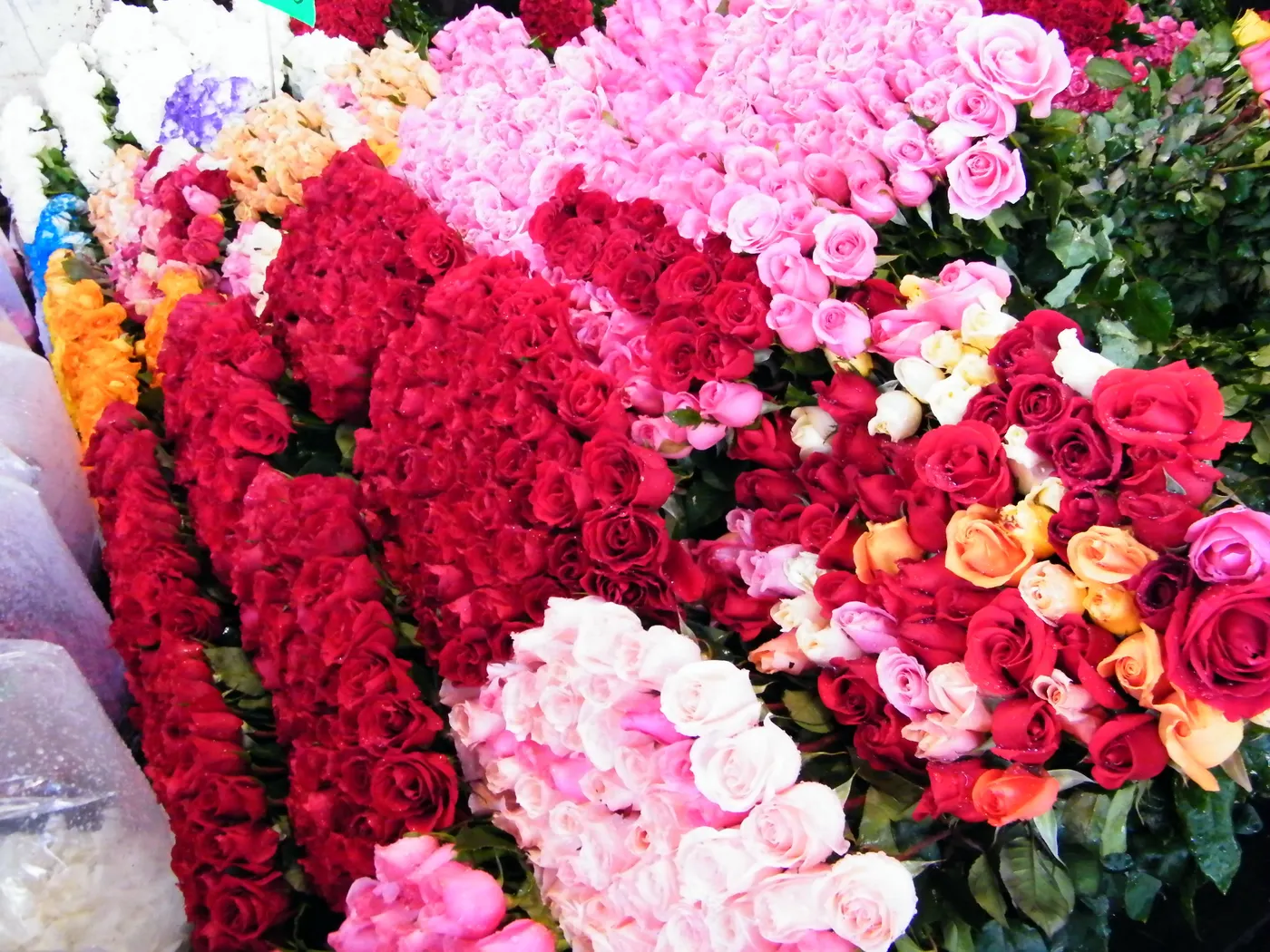 Oberta la preinscripció per al curs de formació ocupacional d’auxiliar de floristeria