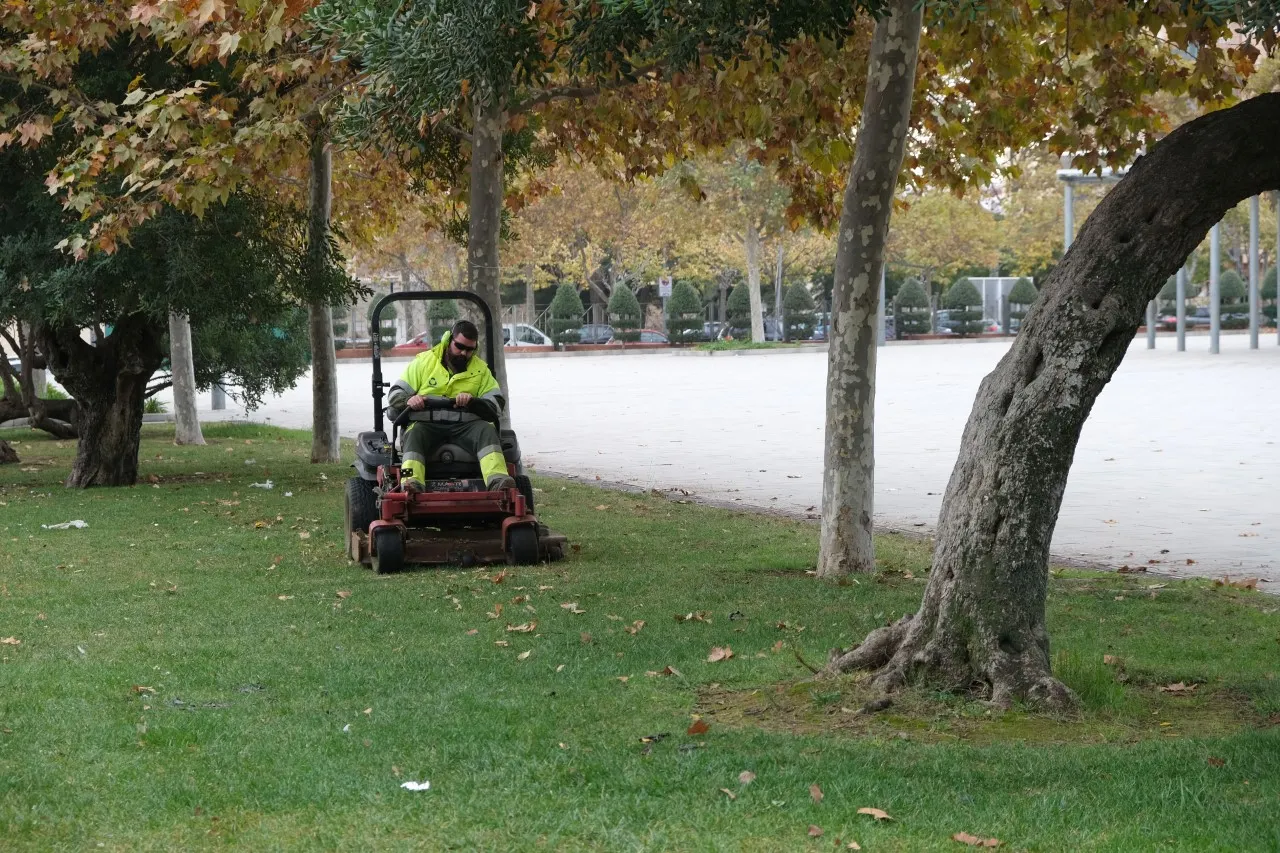El nou contracte de jardineria de la zona centre vila inclou la plantació d’una seixantena d’arbres   