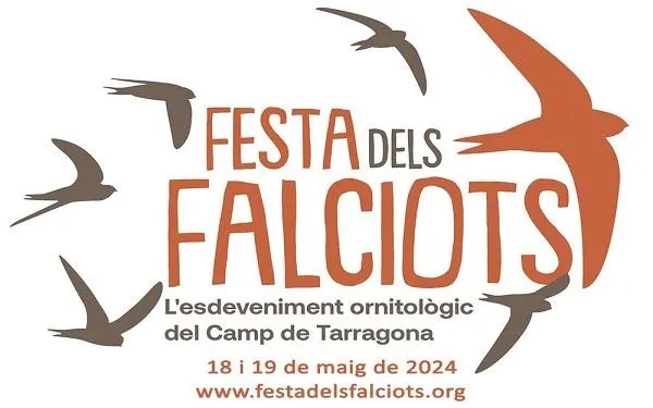 La Festa dels Falciots comptarà aquest dissabte amb una sortida ornitològica a la desembocadura del riu Gaià