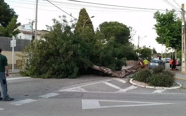 Foto: Ajuntament d'Altafulla