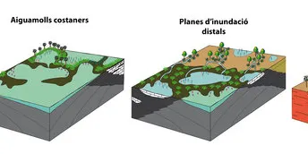 Un estudi revela que els dinosaures van viure al Pirineu en un clima tropical