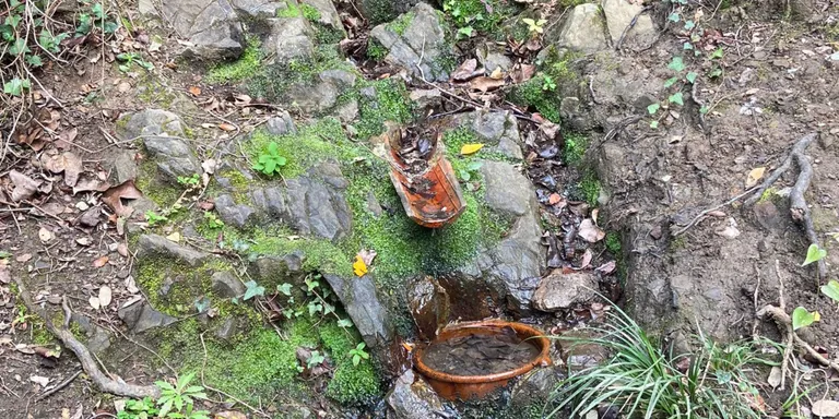 Gairebé totes les fonts del Montnegre s'han assecat