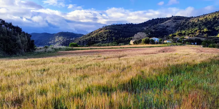 L'Estratègia de transició energètica i acció climàtica del Maresme marca el full de ruta fins al 2030