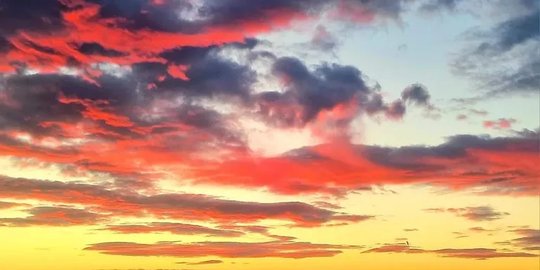 Temps estable i ambient molt suau amb vent