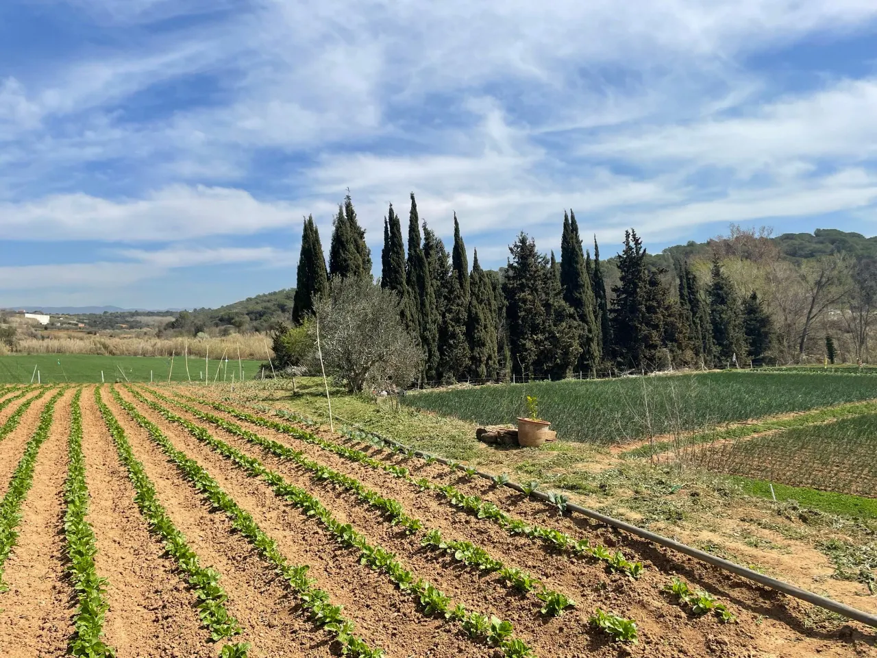 Obertes les inscripcions per a la 3a Jornada d’Horticultura a la Torre Marimon