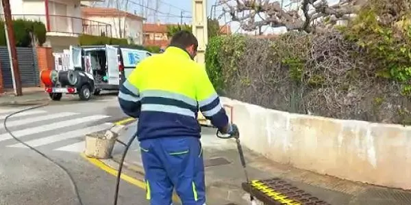L'Ajuntament d'Altafulla manté les actuacions per prevenir les plagues de paneroles