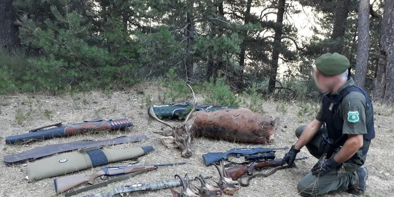 Denunciats a l'Alt Urgell sis caçadors furtius enxampats amb tres caps d'isard i un cérvol