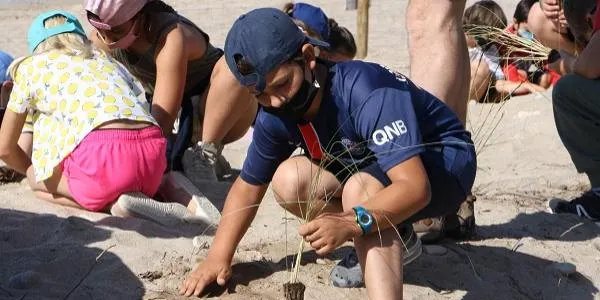 Les dunes de Voramar es consoliden amb la plantada d'espècies autòctones