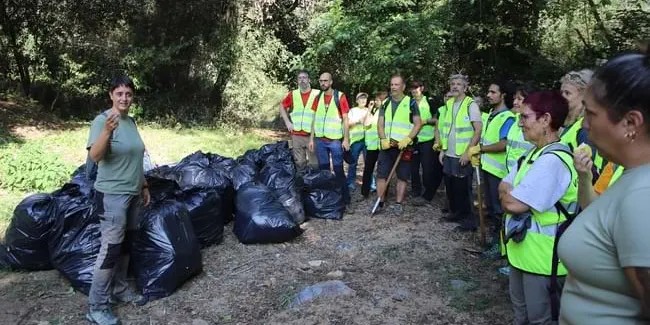 Un grup de voluntaris elimina plantes invasores a l'entorn de la Riera de Pineda