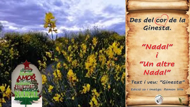Des del cor de la “Ginesta”, no només una si no dues felicitacions per aquestes Festes!: “Nadal” i “Un altre Nadal”