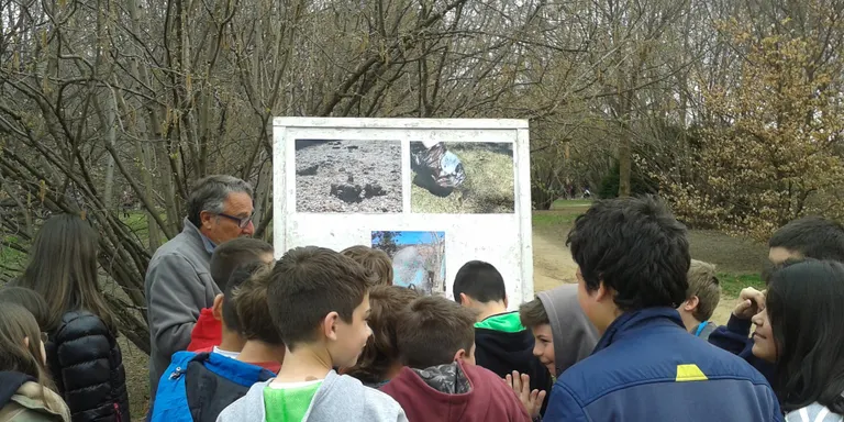 Alumnes de les escoles de la Seu i Castellciutat celebren el Dia de l'Arbre
