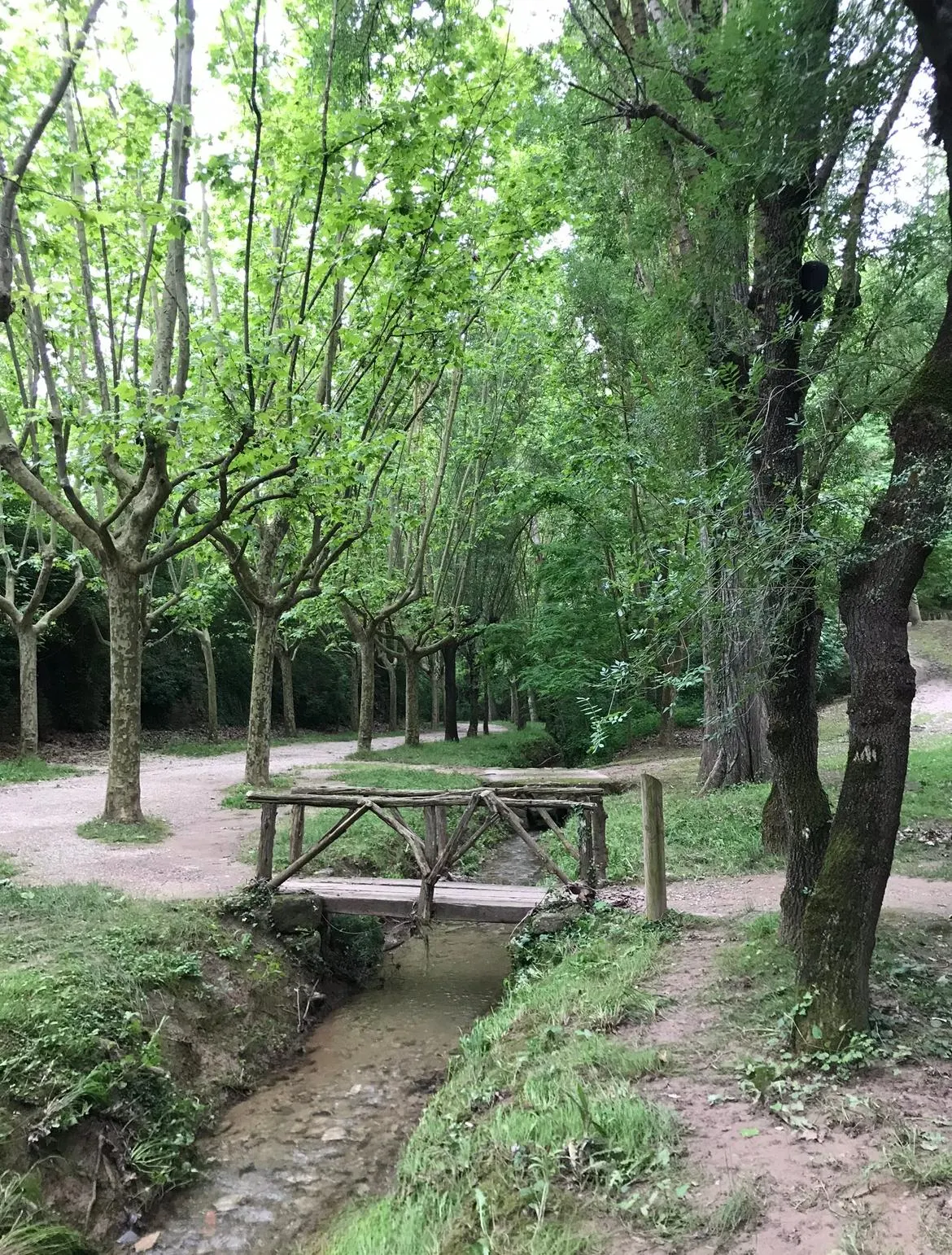 <strong>El Centre Sanitari organitza una caminada amb motiu del Dia Mundial de l'Activitat Física</strong>