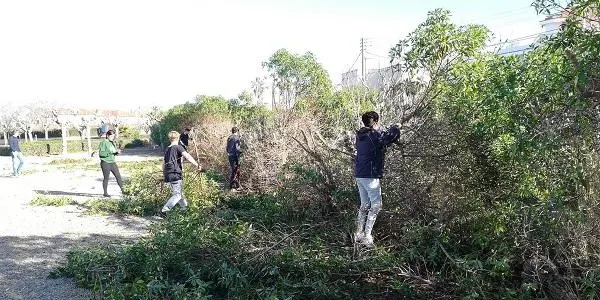 Últims dies per matricular-se a una nova edició del PTT especialitzat en Vivers i Jardins d’Altafulla