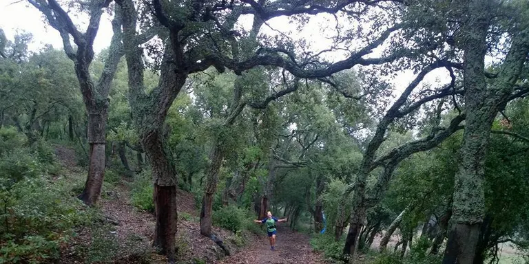 Un grup de pinedencs participaran a la IV Marxa de La Llopa de Calella