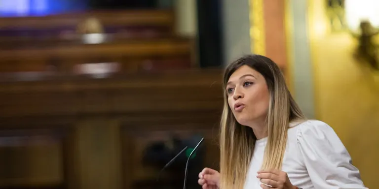 Un diputat de Vox diu "bruixa" a una diputada del PSOE i provoca l'aturada del debat perquè es resisteix a ser expulsat