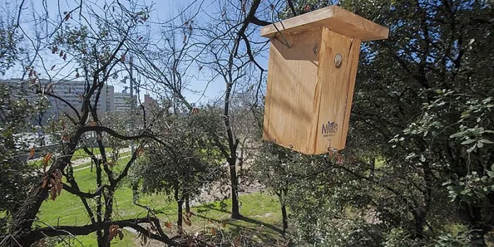 Avui es presenta el Pla de Millora de Biodiversitat dels Parcs i Platges de l’AMB