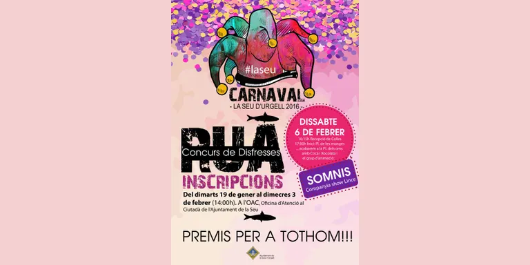 Obertes les inscripcions per participar a la rua de Carnaval de la Seu