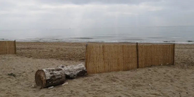 La Diputació convoca el 17è Premi Iniciativa Medi Ambient que promou actuacions dels ens locals