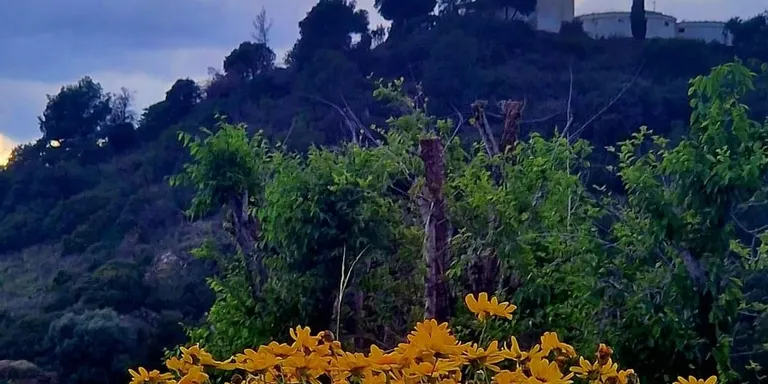 Dia variable amb una nova possibilitat de pluja