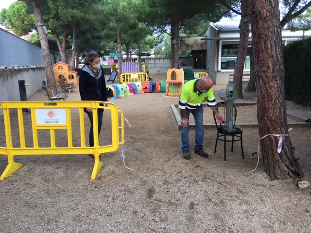 Es torna a fer el tractament d’endoteràpia per prevenir la plaga de processionària del pi