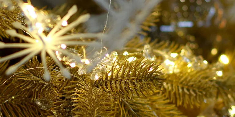 ‘Crònica’ del 24.12.2021