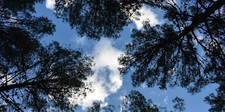 La Xarxa d'Oficines Comarcals de Transició Energètica organitza una sessió informativa sobre comunitats energètiques