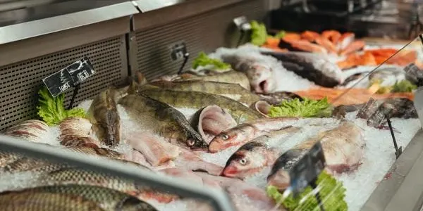 L’ACC consciència als comerciants i consumidors sobre la importància de l’etiquetatge del peix