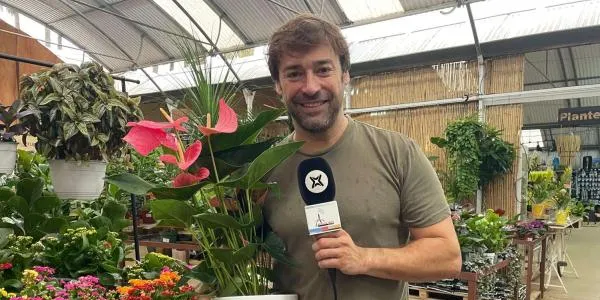 El Garden Gaià d’Altafulla és escollit com el millor de tot Catalunya, pels experts del sector