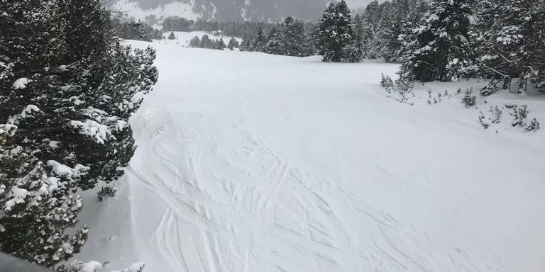 Neu pols i tot obert a les estacions d'esquí d'arreu del Pirineu