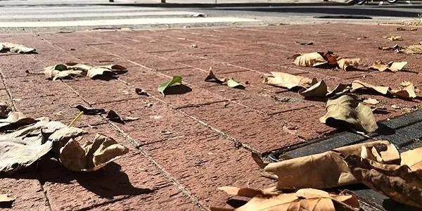 La tardor arriba al Baix Gaià per quedar-s’hi