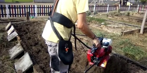 L’Associació Mediambiental La Sínia reprèn el projecte d’horts didàctics a les escoles d’Altafulla