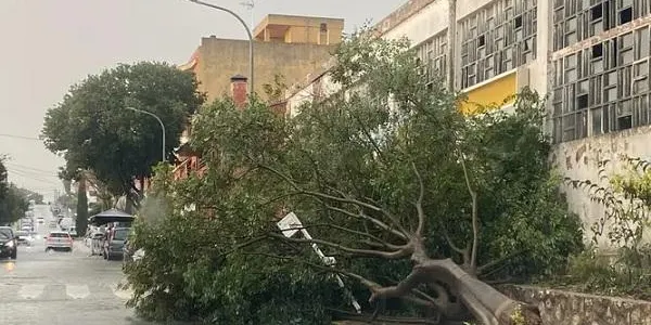 Una nova tempesta colpeja Torredembarra amb carrers negats i arbres caiguts