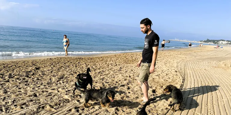 La platja per a gossos reduirà una mica les seves dimensions aquest estiu