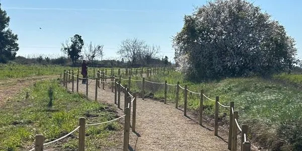 La transformació de la Plana del Vinyet afronta la recta final per esdevenir un atractiu natural de primer ordre per Altafulla