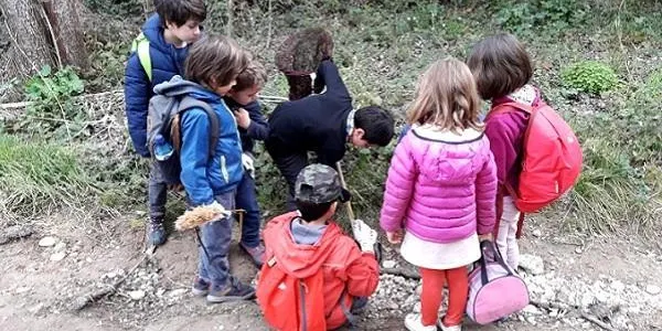 L’Escola de Naturalistes El Corriol d’Altafulla treballa per ampliar l’oferta al municipi amb una nova extraescolar els dilluns a la tarda