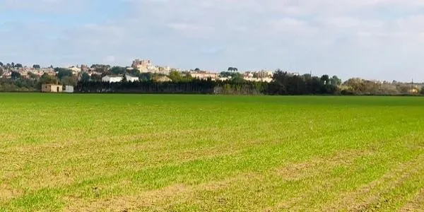 La desembocadura del Gaià s'ha de convertir en "una de les zones humides de referència del litoral català"