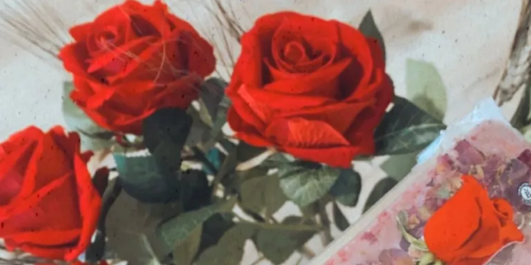 Virginias llança una edició especial del torró de Sant Jordi