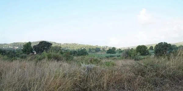 Nova passa endavant per al projecte urbanístic de Safranars