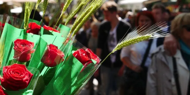 COBLEJANT: És Sant Jordi!