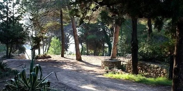 La fauna de la Finca Canyadell d’Altafulla, protagonista de la nova sessió de L’Escola de Naturalistes El Corriol