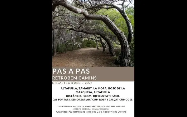 La Nou de Gaià ja té a punt la quarta sortida del projecte 'Pas a pas retrobem camins'
